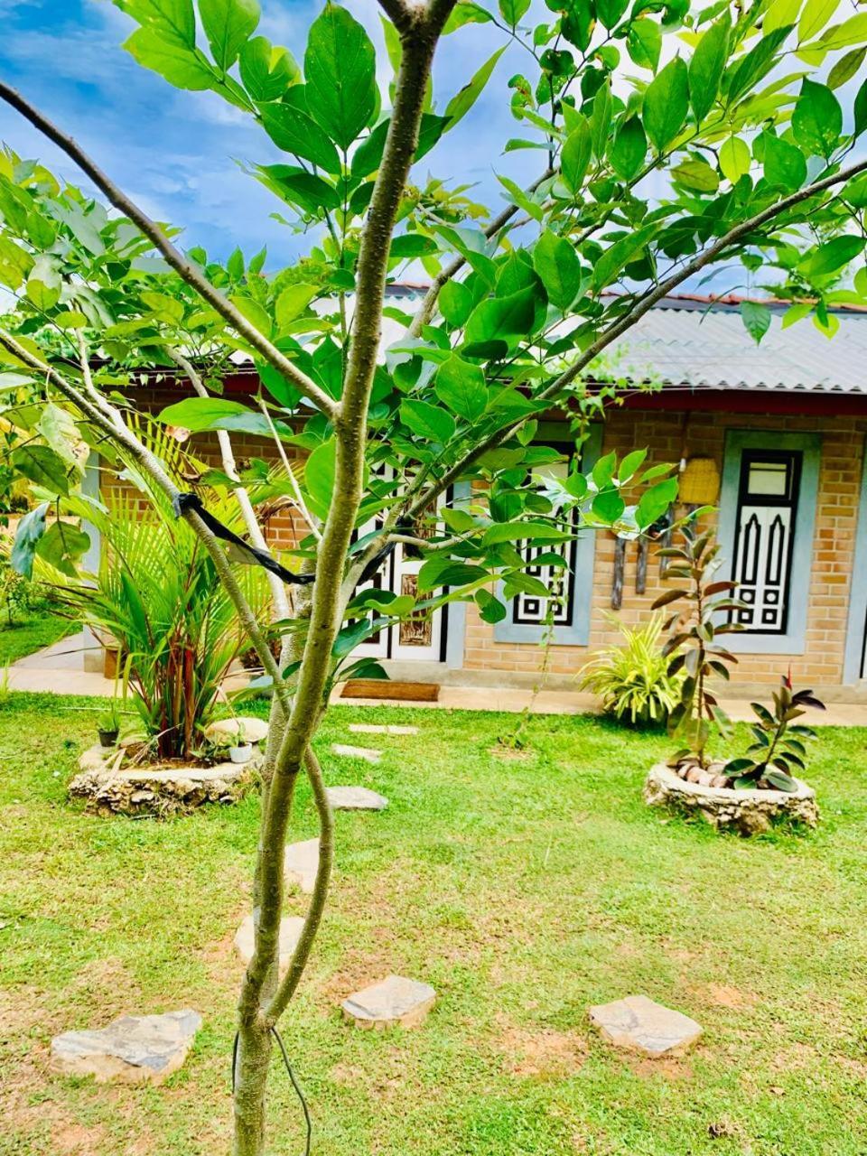 Ashok Villa Weligama Exteriér fotografie