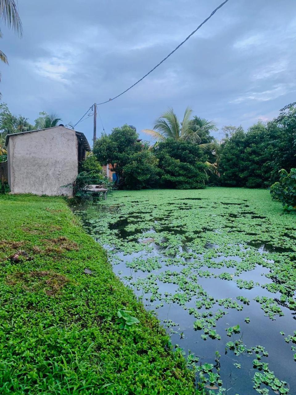 Ashok Villa Weligama Exteriér fotografie