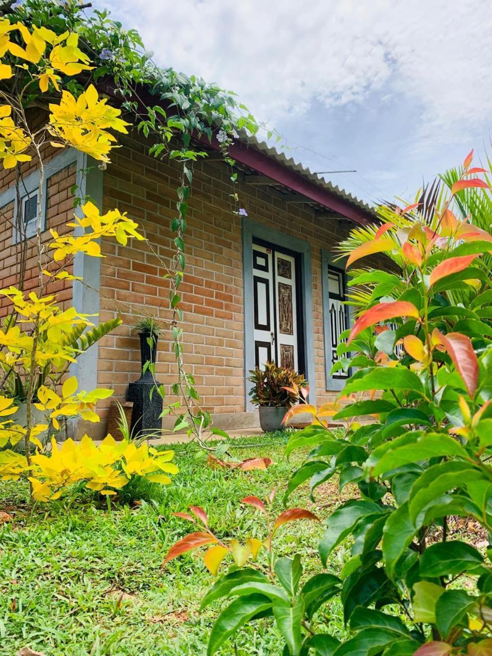 Ashok Villa Weligama Exteriér fotografie