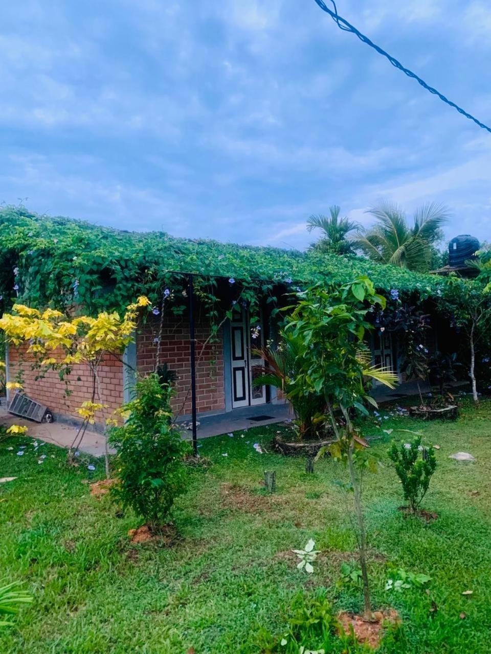 Ashok Villa Weligama Exteriér fotografie