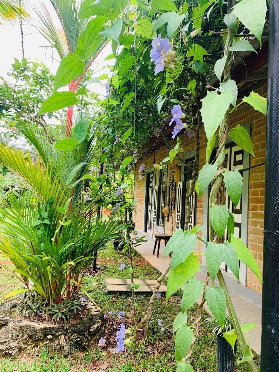 Ashok Villa Weligama Exteriér fotografie