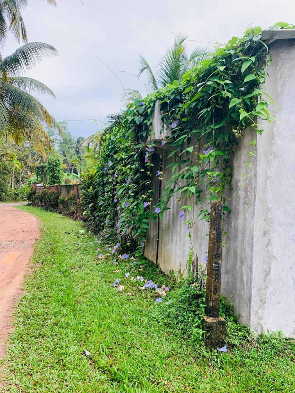 Ashok Villa Weligama Exteriér fotografie