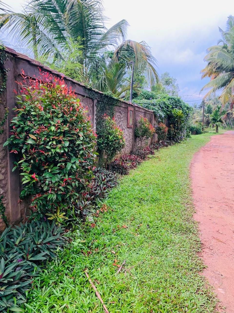 Ashok Villa Weligama Exteriér fotografie